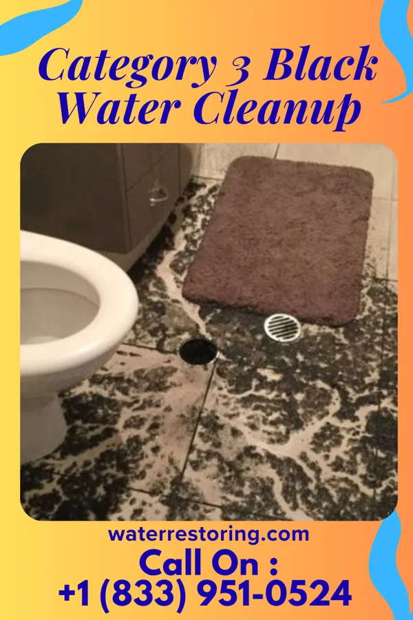 Category 3 Black Water Cleanup in Brecksville, OH
