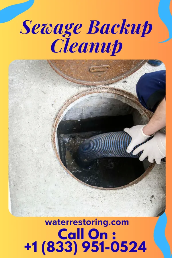 Sewage Backup Cleanup in Brecksville, OH
